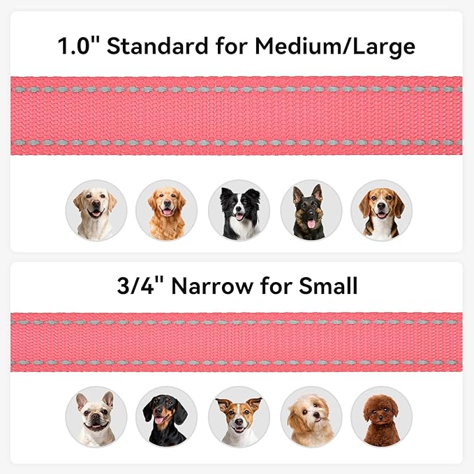 Joytale Dog Leash, 4 FT Double-Sided Reflective, Padded Handle Nylon Heavy Duty Leashes for Medium & Large Dogs Walking, Neon Pink