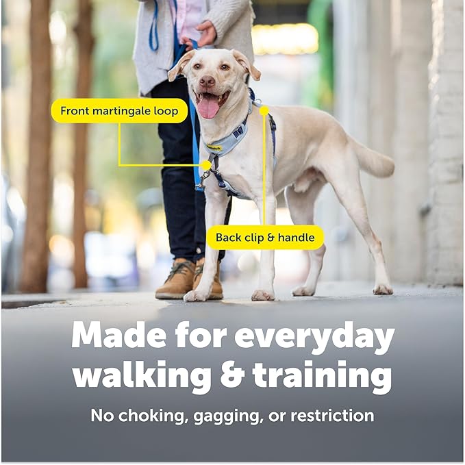 PetSafe Easy Walk Comfort No-Pull Dog Harness - Better Walk Training Harness - Full Body Padded Design - Durable Fabric - 5 Point Adjustable Fit - Everyday Leash Training - Green - Medium/Large