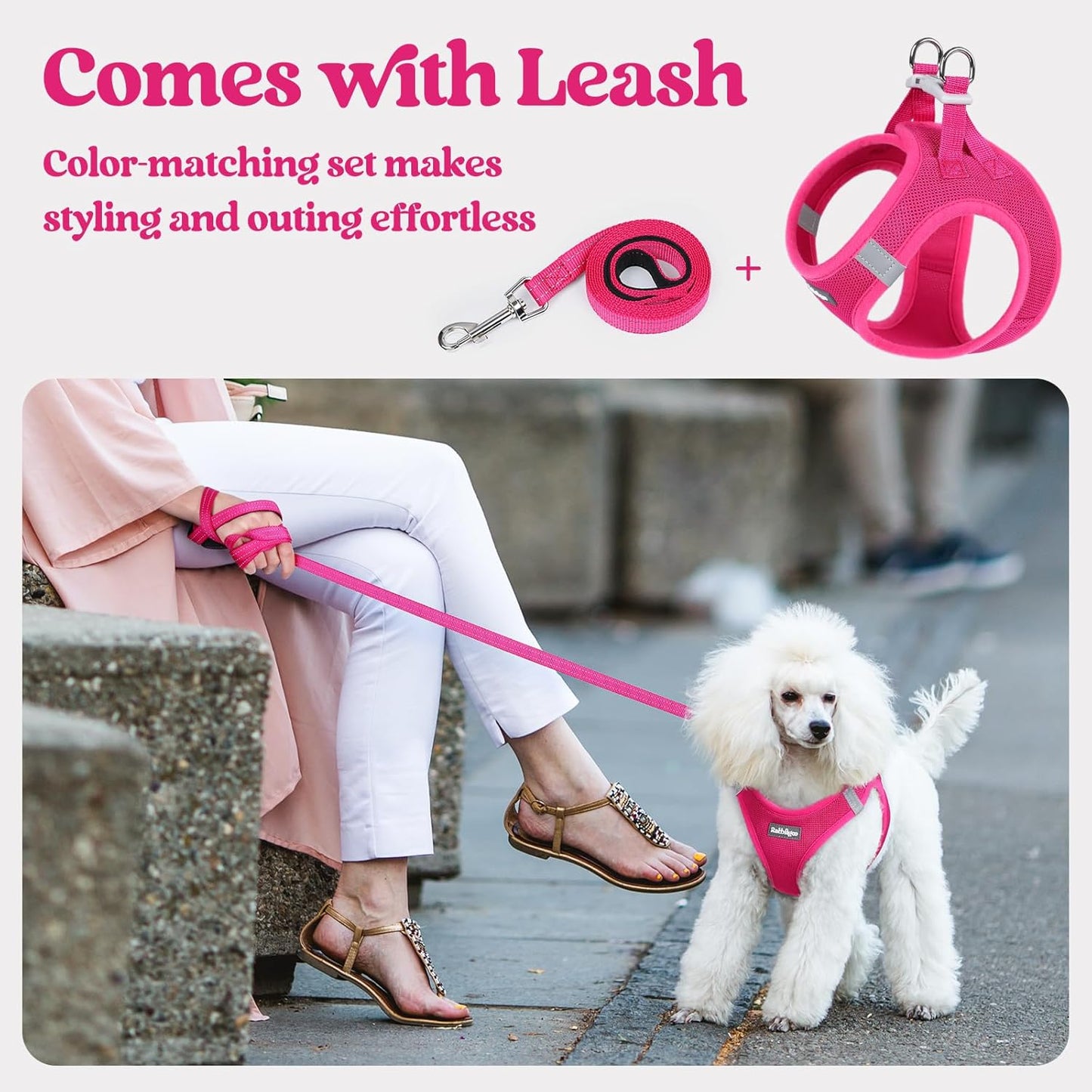 rabbitgoo Dog Harness Small Medium Sized and Leash Set, Step in Soft Light Puppy Vest, Breathable Mesh Pet Harness, Reflective for Safe Easy Walking, Rosa Red XL