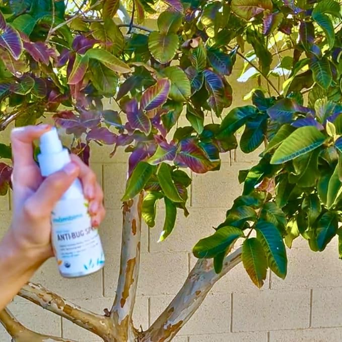 Anti-Bug Spray DEET-Free – Organic, All-Natural Bug Spray Travel Size with Essential Oils – Non-Toxic, Reef Safe, Face-Safe Bug Repellent for Babies, Kids, Adults by Mambino Organics, 4oz