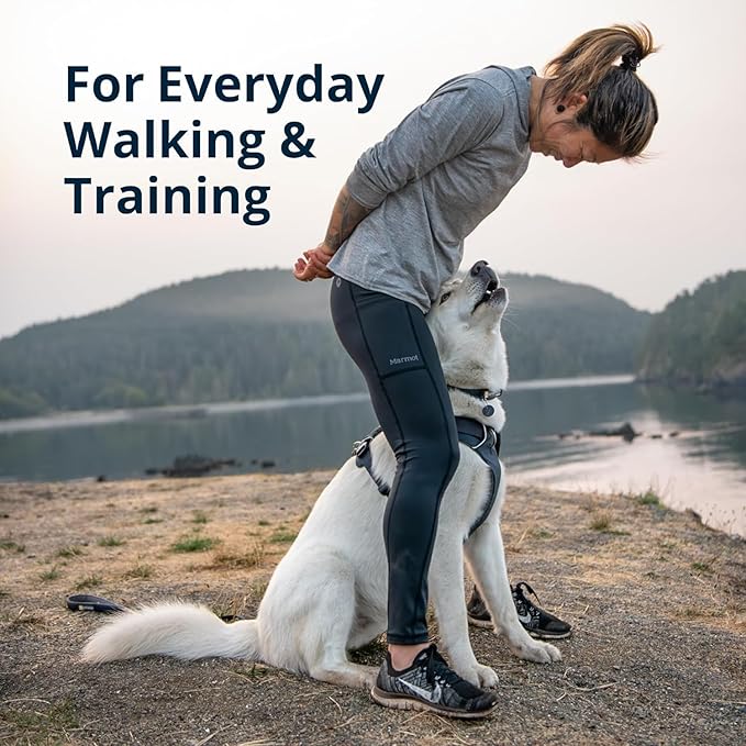 Ruffwear, Front Range Dog Harness, Reflective Soft Padded Everyday Harness with Dual Leash Clips, Adjustable and Lightweight Fit for Training or Walking for All Dogs, River Rock Green, Large/X-Large