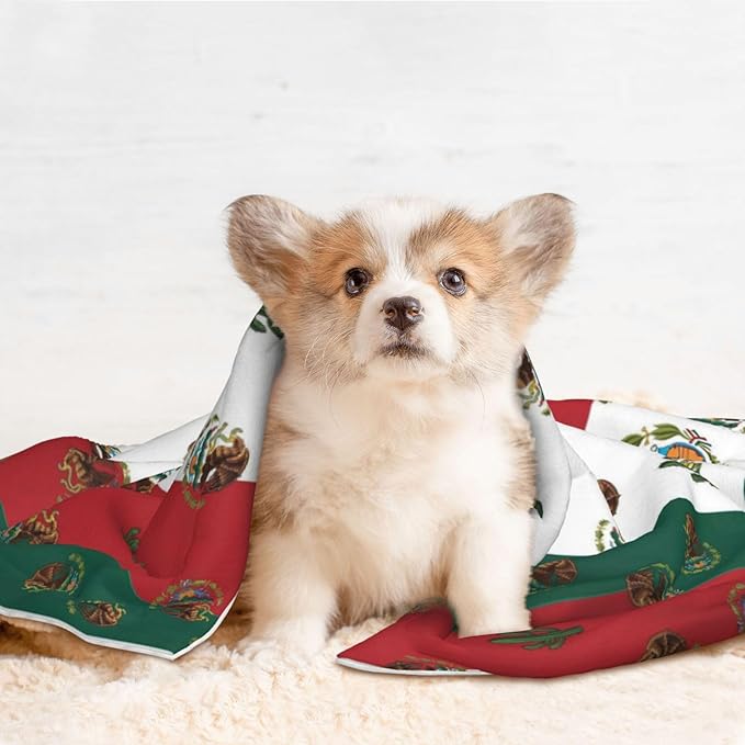 Two Sided Plush Pet Blanket for Crates Carriers Home Use, Mexican Flag, Reversible Throw with Cozy Dot Fabric and Silky Reverse for Small Large Pets