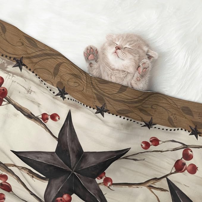 Southwest Blanket for Pet - Vintage Western Throw Blanket 40x30 Star Couch Blankets for Puppy Dogs Cats