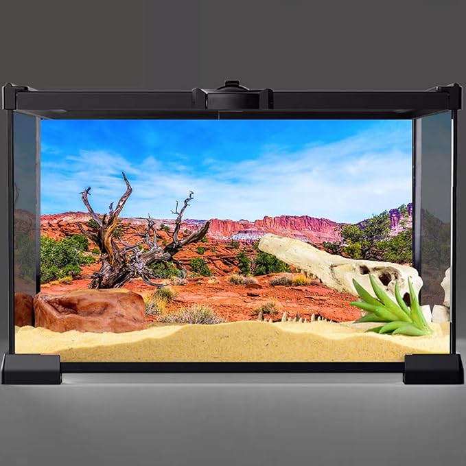 AWERT 48x20 inches Reptile Habitat Background Blue Sky Oasis Orange Desert Terrarium Background