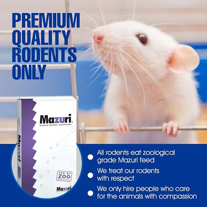 MiceDirect EST. 2003 200 Frozen Mice Combo Pack of 100 Weanlings and 100 Small Adult Feeders Snake Food for Adult Sand Boa Corn Milk Snakes (2-3 in)(3200 Grams Min)