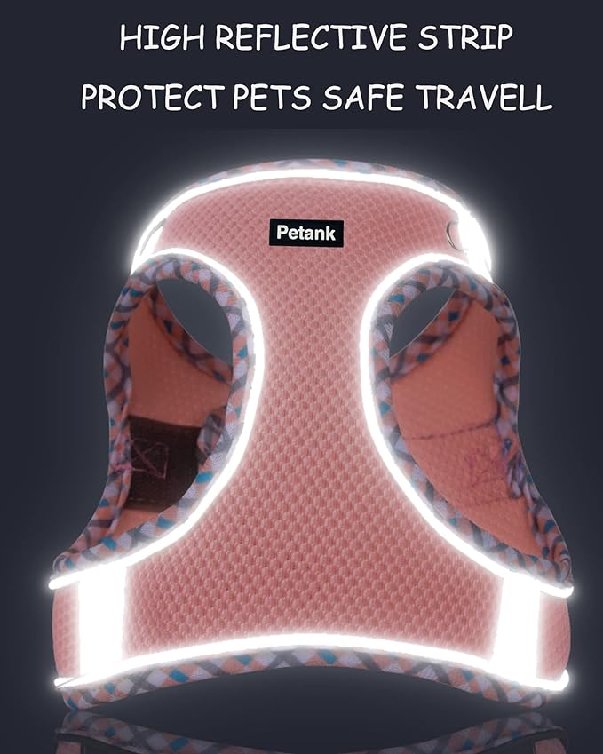 Petank Dog Harness for Small Medium Dogs No Pull, Puppy Harness and Leash Set, Step in Dog Harness for Walking, Running, Training, Small Dog Vest(Light Blue, XS)