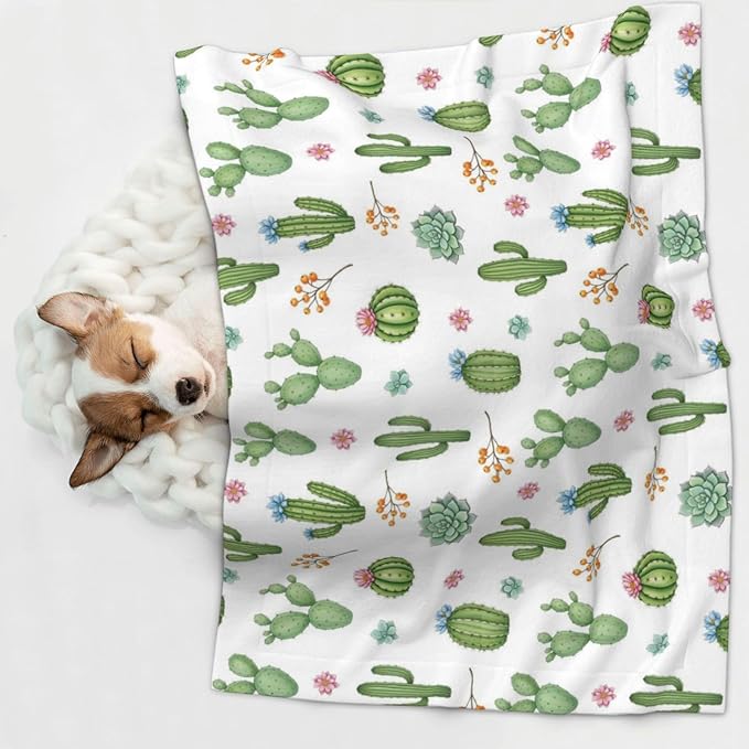 Pet Blanket for Car Rides Vet Visits, Watercolor Elements Succulent Plants Cactus, Two Sided Reversible Plush Design with Bumpy Dot Side Offers Comfort Home Piece On Go Travel