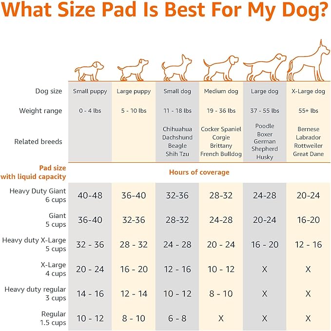 Amazon Basics Heavy Duty Absorbent Dog and Puppy Pee Pads with 5-Layer Leak-Proof Design and Quick-Dry Surface for Potty Training, Regular Size, 24 x 23 Inches, Blue & White, 20-Count