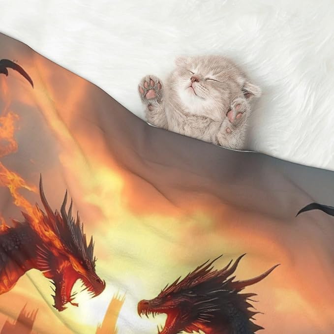 Castle Cool Fire Dragon Print Soft Plush Pet Blanket, Washable Dog Blanket, Cat Fleece Throw, Puppy Bed Crate Mat & Sofa Couch Protector - Large