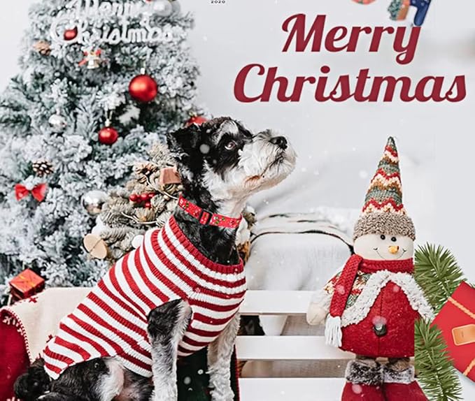 Christmas Dog Collar - Premium Adjustable Dog Collar for Small Medium Large Dogs (Christmas,L)