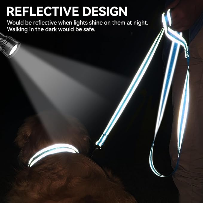 Joytale Dog Leash, 5 FT Double-Sided Reflective, Padded Handle Nylon Heavy Duty Leashes for Medium & Large Dogs Walking, Sky Blue