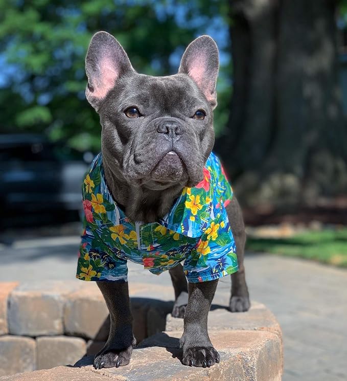 Parisian Pet Hawaiian Dog Shirt - Cotton Summer Clothes - Stylish Beach Outfit - Hook and Loop Closure - Machine Washable for Medium Dogs