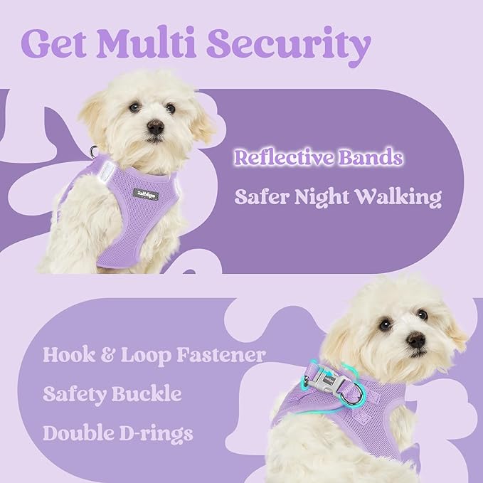 rabbitgoo Small Dog Harness, Step-in Soft Mesh Puppy Vest with Safety Buckle, Breathable Reflective Pet Harness for Large Dogs, Light Purple XXL