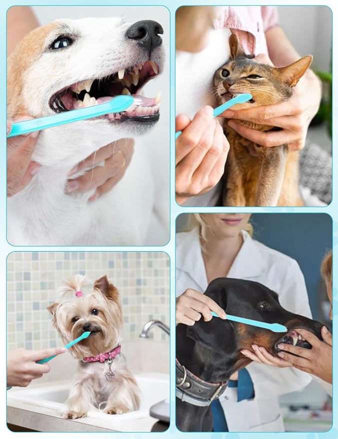 Brand Name 100pcs Double Headed Soft Bristle Toothbrush Brush Kit - Long Handle for Dogs, Cats & Pets - Blue