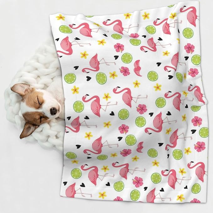 Dog and Cat Blanket in One, Cute Pink Flamingo, Double Sided Plush Throw with Raised Dot Pattern on One Side and Flat Velvet on Other for Variety