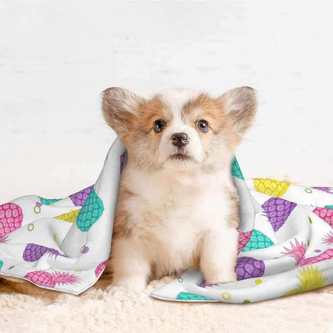 Pet Blanket for Couches and Beds, Colorful Tropical Summer Pineapple Print, Reversible Double Sided Plush Design with Soft Bumpy Texture and Smooth Surface, Furniture Protector