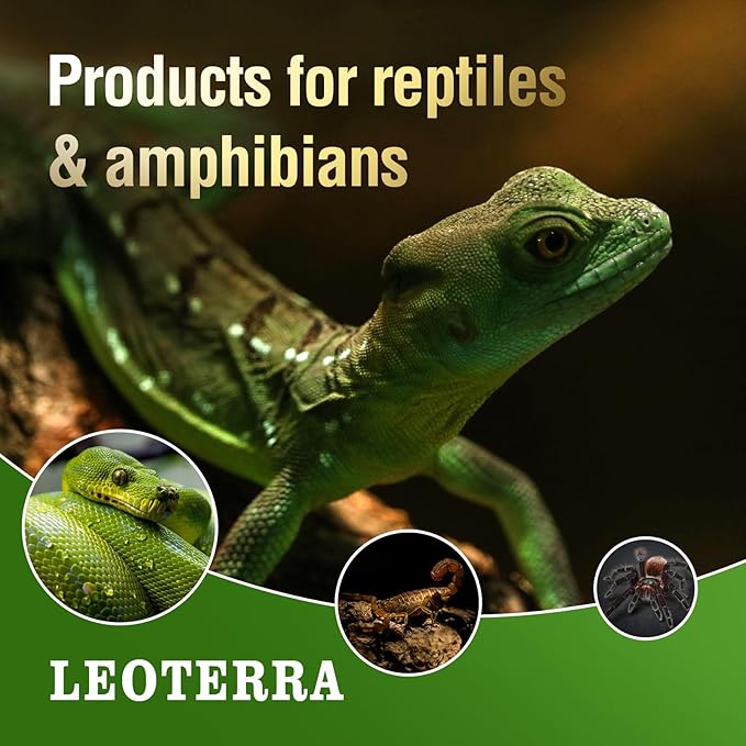 Leoterra 100W Reptile Tank Use Incandescent Night Black Heat Bulbs and 100w UVA Heat Lamp Bulbs Combo Pack E26 Base 110v Heat Lamp Bulbs for Leopard Gecko Bearded Dragon Heat lamp Long Service Life…