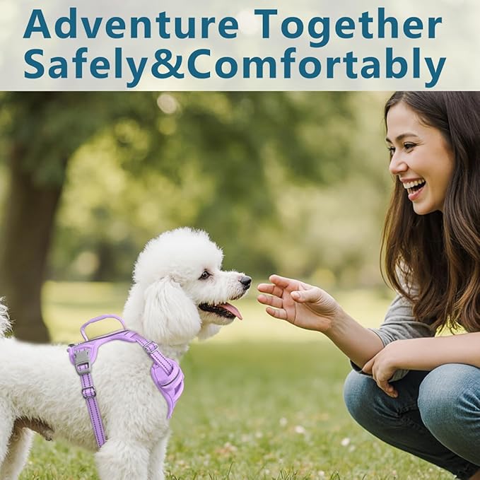 BARKBAY Dog Harness No Pull Oxford with ID Tag Pocket - Heavy Duty, Reflective, Easy Control for Large Dogs(Violet Purple Oxford,XS)