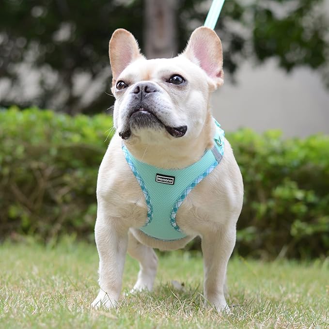 Mercano Soft Mesh Dog Harness and Leash Set, No-Chock Step-in Reflective Breathable Lightweight Easy Walk Vest Harnesses with Safety Buckle for Small Dogs, Cats (Light Green, XL)
