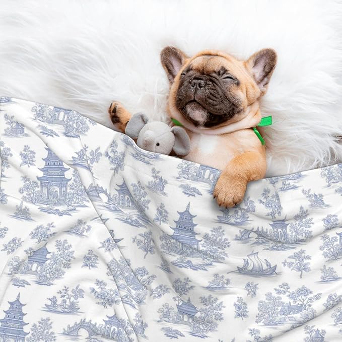 Pet Blanket for Couches and Beds, Chinese Style Powder Blue Chinoiserie Toile, Reversible Double Sided Plush Design with Soft Bumpy Texture and Smooth Surface, Furniture Protector