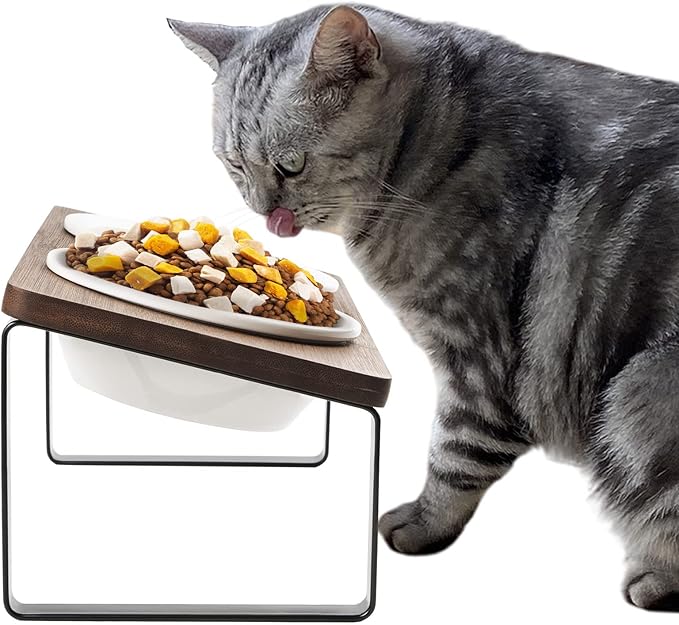 Sunhoo Ceramic Elevated Cat Bowls Raised Puppy Dishes for Food and Water Tilted Wooden Stand for Indoor Cats 5.5 inch Wide Double Dish Orthopedic Reduces Vomiting (Brown)