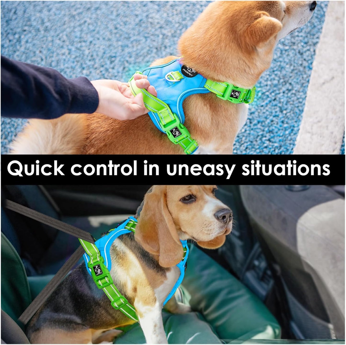 PHOEPET No Pull Dog Harness, Unique Colors Reflective Adjustable Dog Vest, with Soft Training Handle Metal Clips for Small Medium Large Dogs (Blue Base & Green Straps,S)