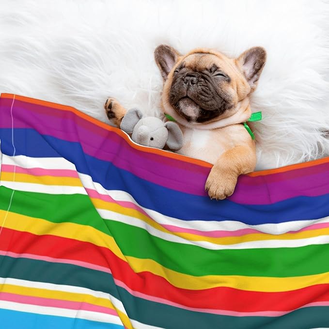 Two Sided Plush Pet Blanket for Crates Carriers Home Use, Novel Colorful Mexican Blanket Stripes, Reversible Throw with Cozy Dot Fabric and Silky Reverse for Small Large Pets