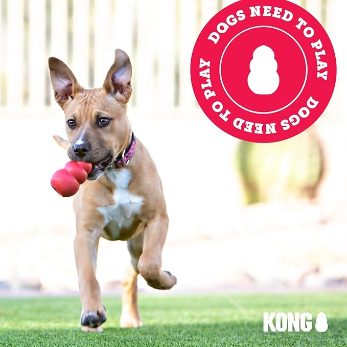 KONG Flyer - Durable Dog Toy for Outdoor Playtime - Natural Rubber Flying Disc, Dog Toy for Fetch - Safer Disc for Healthy Activity - for Small Dogs
