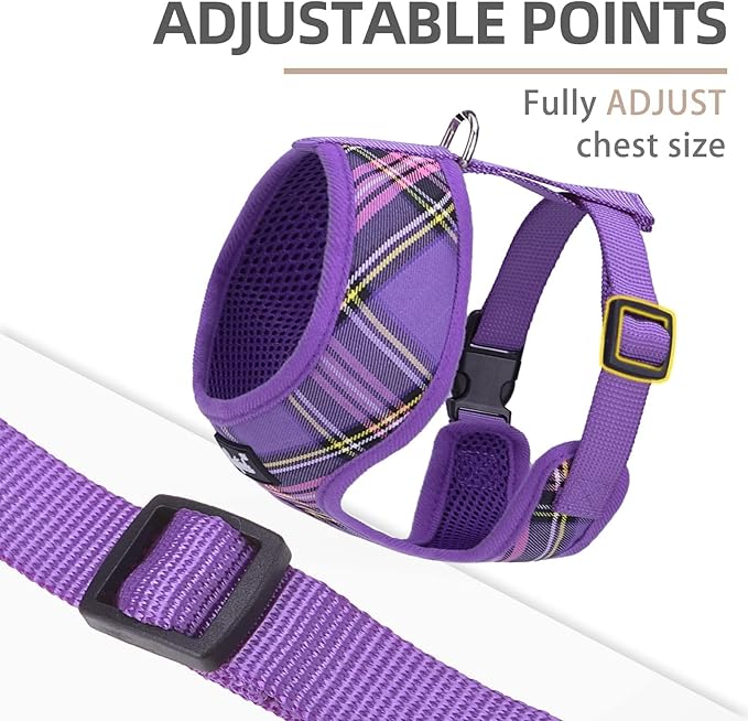PUPTECK Soft Mesh Dog Harness and Leash Set Pet Puppy Cat Comfort Padded Vest No Pull Harnesses, Purple, S