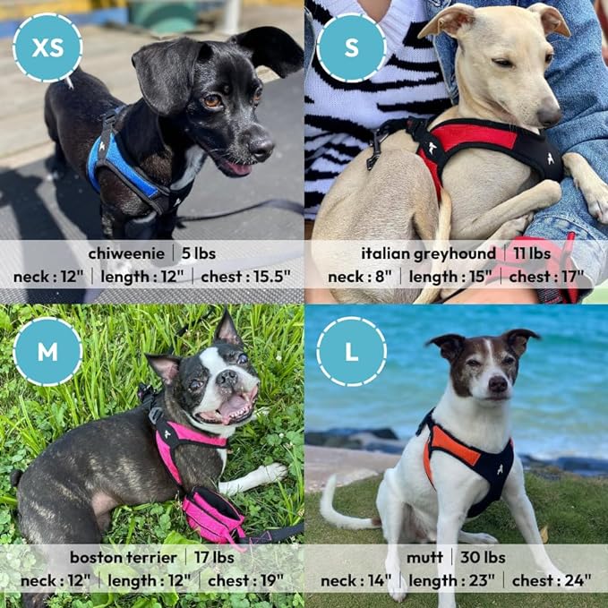 Gooby Escape Free Easy Fit Harness - Blue, Medium - No Pull Step-in Patented Small Dog Harness with Quick Release Buckle - Perfect On The Go No Pull Harness for Small Dogs or Medium Dog Harness