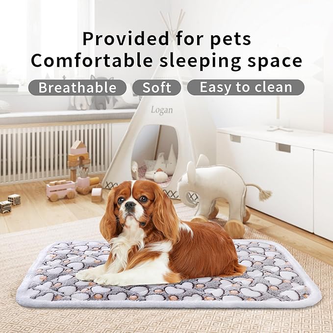 Dog Crate Mats, Soft Reversible Dog Bed Mat, Cat Mat - 24x16 Inch, Short Plush Pet Mat Crate Mat for Small Dogs, 0.6-inch Thick Thin Dog Mat, Machine Washable Ideal for 24-Inch Dog Crates