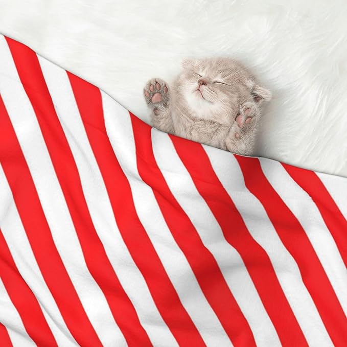 Double Sided Plush Pet Blanket for Small Large Animals, Red White Stripes Christmas Candy Cane, Reversible Throw with Dimpled Dot Side and Flat Side for Kennels Living Rooms