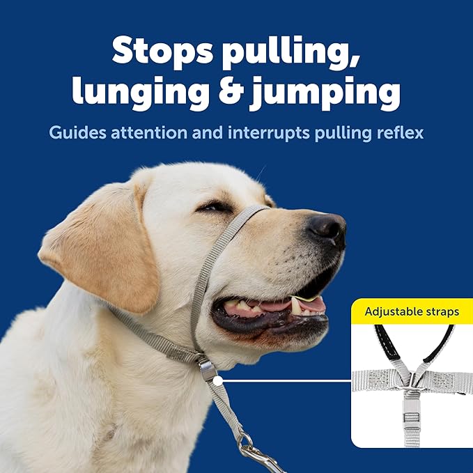 PetSafe Gentle Leader No-Pull Headcollar - Breathable Lightweight Walking Halter - Minimal Strap Design & Padded Nose Loop - Snout-Specific Fit - Helps Gain Easy Control