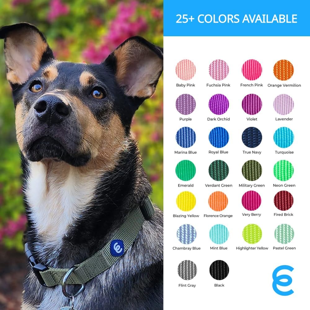 Blueberry Pet Essentials Medium Dog Collar in Baby Pink | Adjustable & Eco-Friendly Durable Nylon Strap | Classic Collar for Medium Dogs, Boy & Girl Pets