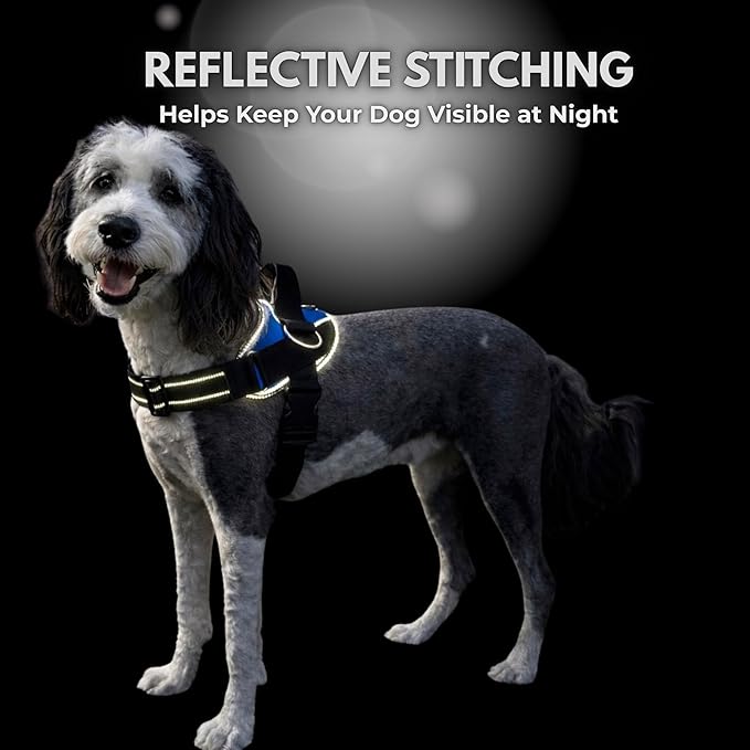 ShawnCo Essential Dog Harness, No-Pull Pet Vest with 3 Leash Clips, No Choke, Reflective, Adjustable and Padded, for Easy Walking and Training for Small, Medium and Large Dogs (USA Flag,XS)