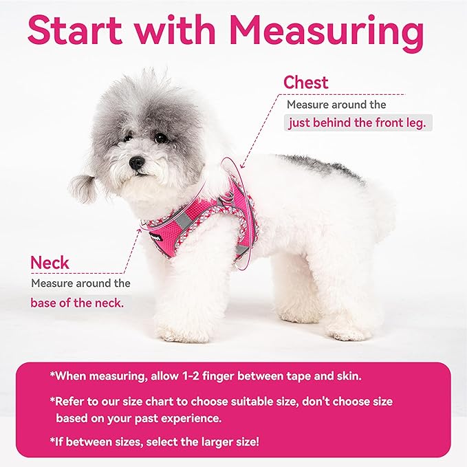 Petank Dog Harness for Small Medium Dogs No Pull, Puppy Harness and Leash Set for Walking, Running, Training, Small Dog Harness, Medium Dog Harness (Rose Red, XS)