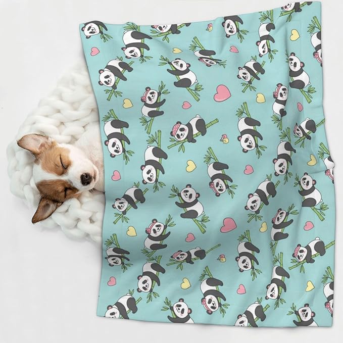 Pet Blanket for Couches and Beds, Chinese Cute Panda, Reversible Double Sided Plush Design with Soft Bumpy Texture and Smooth Surface, Furniture Protector