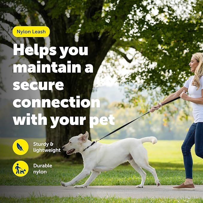 PetSafe Nylon Leash - Strong Nylon for Everyday Walks - Durable Pet Leash with Quick Attach Clip - Comfortable Soft Grip - 6 Feet - Royal Blue