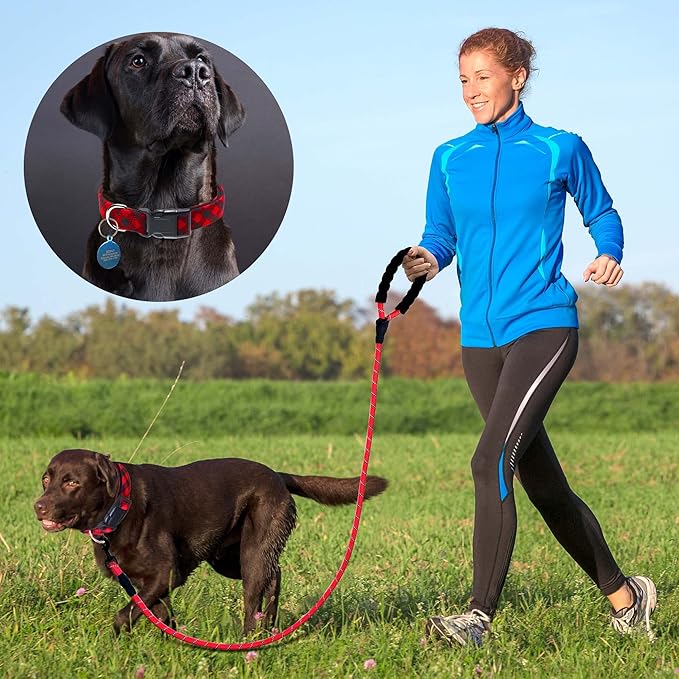 Reflective Dog Collar Padded with Soft Neoprene Breathable Adjustable Nylon Dog Collars for Small Medium Large Dogs (Large (Pack of 1), Red Plaid Collar+Leash)