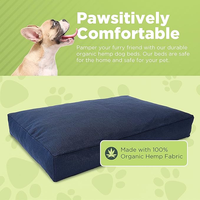XX-Large - 54 x 36 x 6 - Cactus Premium Organic Hemp Dog Bed - Organic Latex Fill - Removeable Cover