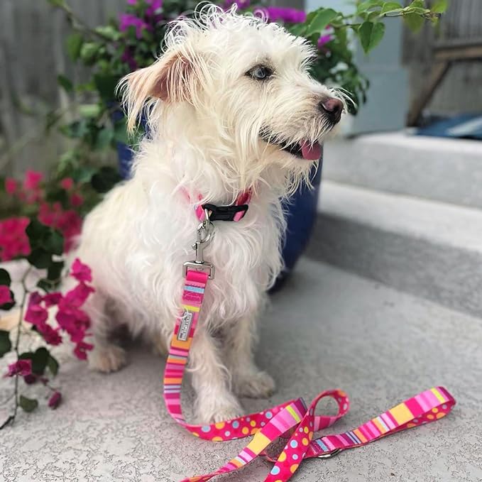 Lucky Love Dog - Easy Click Buckle Dog Collar with Leash Set Combo, Durable & Comfortable for Male & Female Dogs, Pet Collar for Medium Dogs, Secure Fit - Molly Combo, Medium