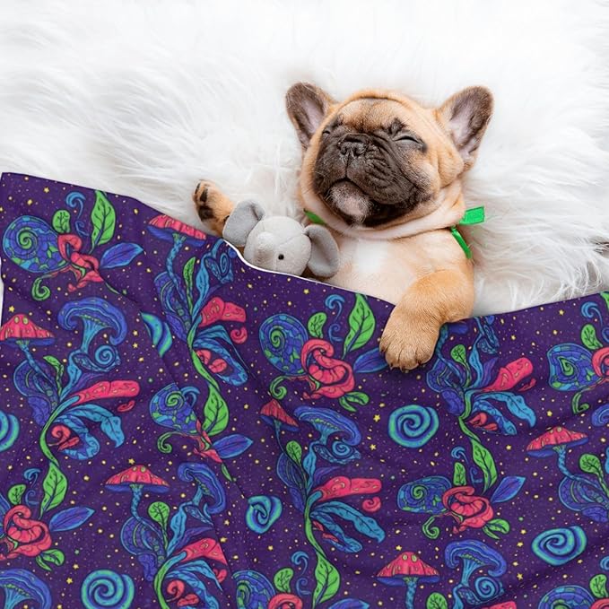 Reversible Dog Blanket for Beds Couches, Colorful Doodle Surreal Landscape Fantastic Mushroom, Double Sided Cat Blanket with Textured Dot Feel and Smooth Feel for Seasonal Comfort All Year