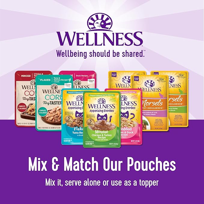 Wellness CORE Tiny Tasters Minced Adult Wet Cat Food, Natural, Protein-Rich, Grain Free, 1.75-Ounce Pouch, 12 Pack, (Chicken)