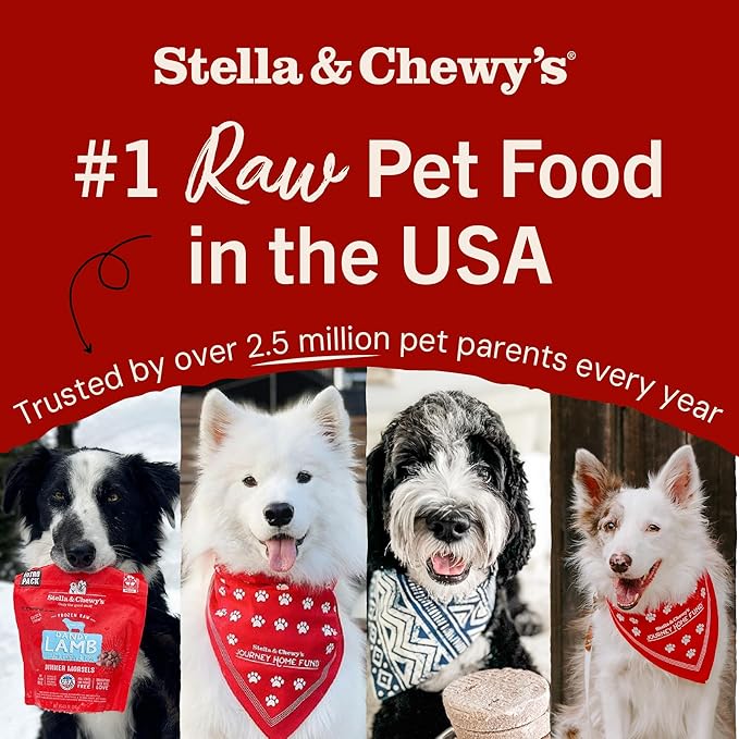 Stella & Chewy's Freeze-Dried Raw Beef Meal Mixers- Dog Food Topper and Mixer - Made with 95% Grass-Fed Beef, Organs & Bone - Perfect for Picky Eaters - Grain-Free - 8 oz