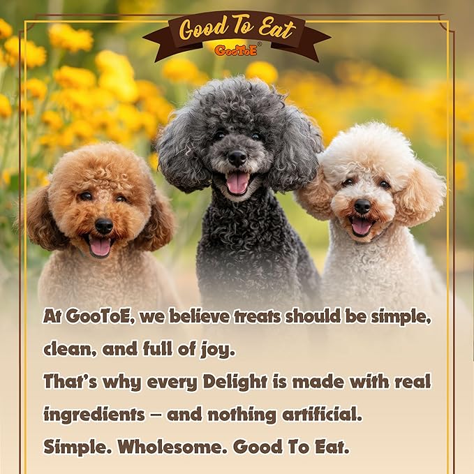 Gootoe Turkey Tendons for Dogs –All-Natural, Hypoallergenic Dog Treats, Rawhide Alternative, Long Lasting Puppy Chews, Healthy Dog Treats for Medium Breeds, Rope (M), 3 Count Pack