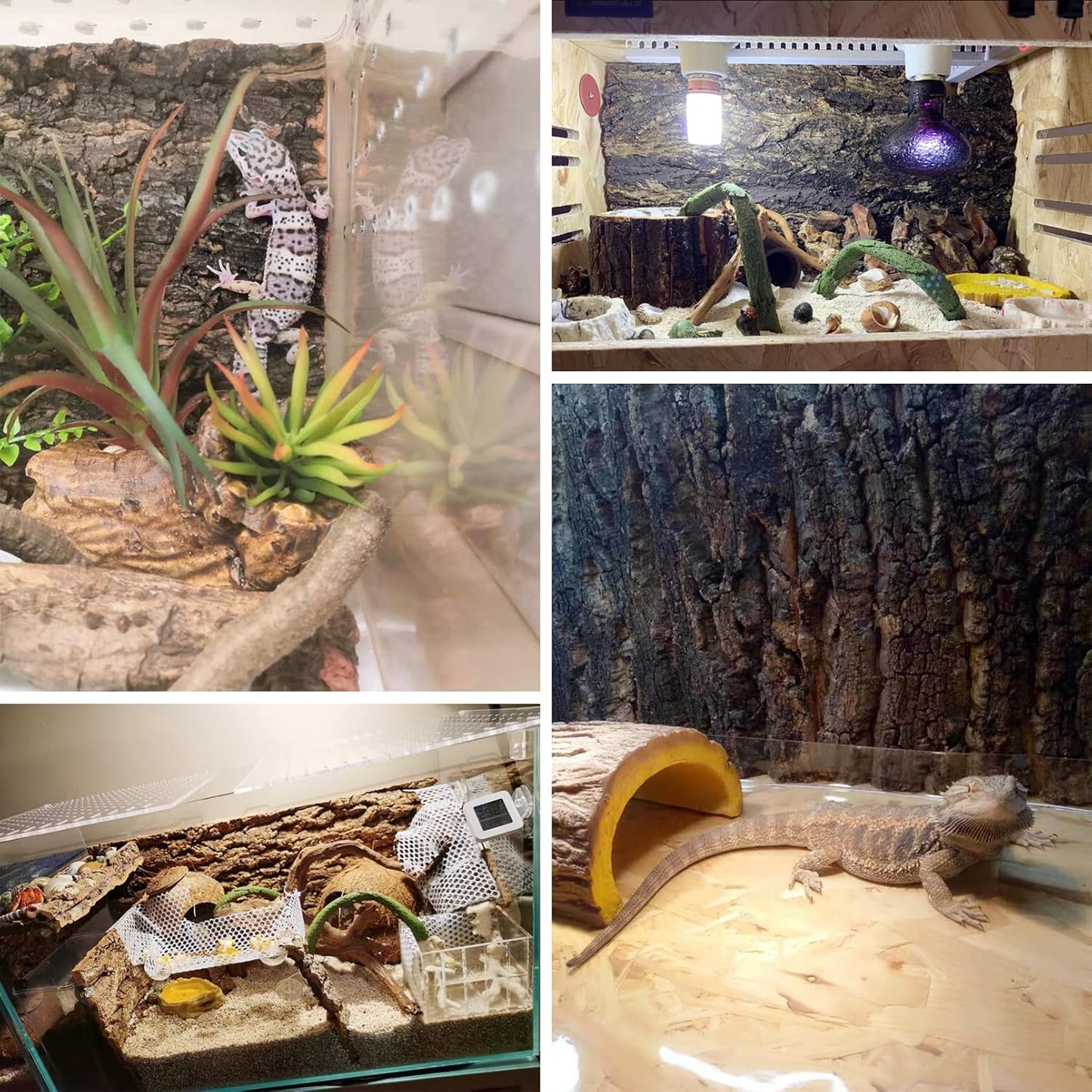 Fhiny 2 PCS Cork Bark Background, 11.6" x 7.7" Natural Cork Bark for Reptiles Tank Backdrop Reptile Climbing Wall Terrarium Decor Accessories for Turtle Beared Dragon Chameleon Snake