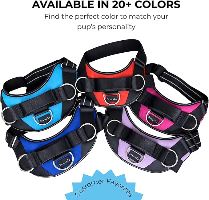 ShawnCo Essential Dog Harness, No-Pull Pet Vest with 3 Leash Clips, No Choke, Reflective, Adjustable and Padded, for Easy Walking and Training for Small, Medium and Large Dogs (ICY Lilac, L)