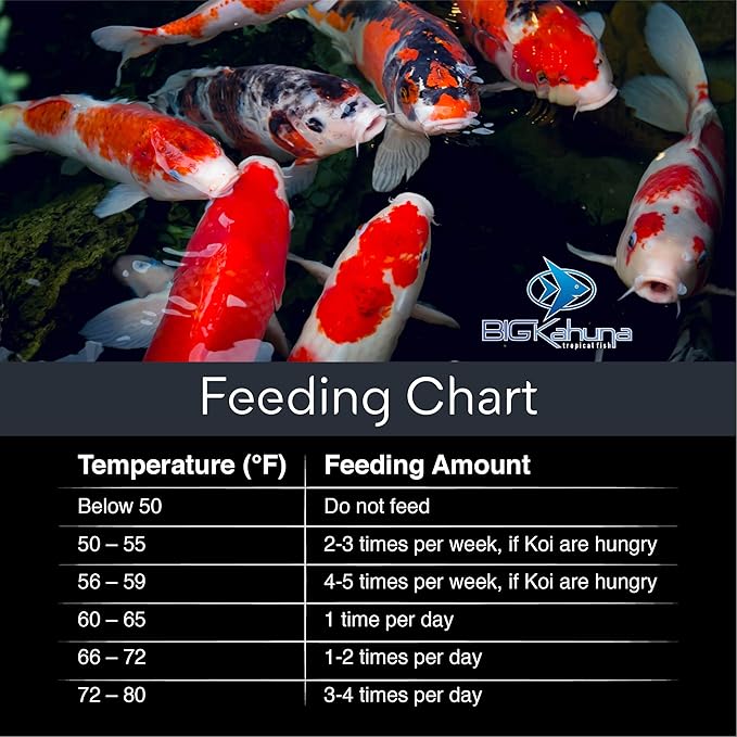 Big Kahuna Koi Fish Food for Ponds 45lbs - Koi Food for Pond Fish Food Pellets – 3/16-1/4 Floating Pond Pellet