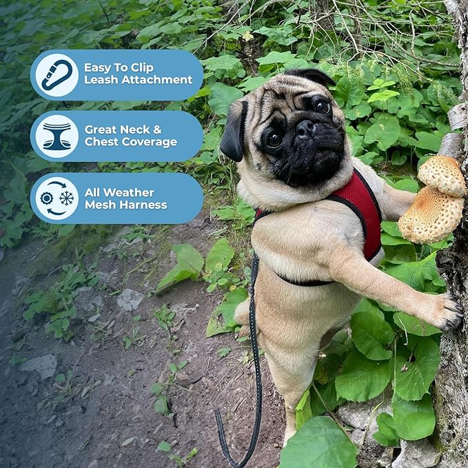Best Pet Supplies Voyager Step-in Air Harness - All Weather Mesh, Reflective, No Pull Harness for Dogs, Cats - Secure with Hook & Loop Fastener, Buckle, Double D-Rings - Red/Black Trim, L