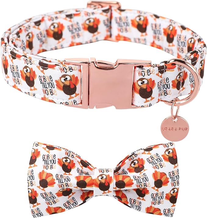 Thanksgiving Dog Collar with Bow Tie, Turkey Cotton Bowtie Collar for Puppy Girl Dog or Cat, Autumn Bow Tie Collar with Durable Metal Buckle, Turkeys Pet Collar, S, Neck 10-16in